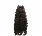 Burmese Curly